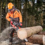 The M18 FUEL Dual is a 50 cm chainsaw that generates more power than 60cc petrol saws