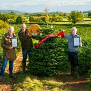 TV presenter Jules Hudson presenting the Christmas Tree Grower of the Year award to Stephen Reynolds and Phil Fourie of Evergreen Christmas Trees.