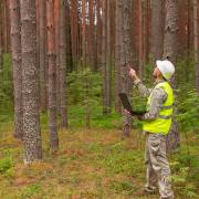 Lantra provides a range of qualifications in forestry