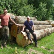 Timber production is claimed to be an integral part of CCF, but indications are that it is much more difficult to carry out.