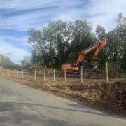 Felled woodland on Etterby Road