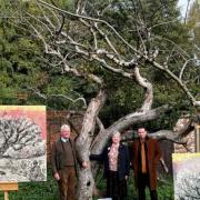 Artist Dan Llywelyn Hall with relatives of those connected to the Bramley tree