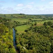 Land on the Rothbury estate in Northumberland