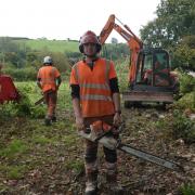 Tomos is now a qualified climbing arborist, leading a team of his own.