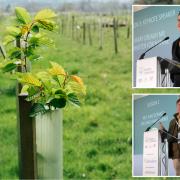 Speakers included forestry minister Mary Creagh, top, and Neil Macdonald  of Orchard Park Farm.