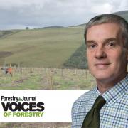 Scottish Woodlands' Ian Robinson writes about last year's planting success - and the future of forestry