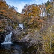 The group will focus on habitat restoration, maintaining or increasing biodiversity, upping climate change resilience and unlocking economic potential from timber and venison in the area