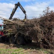 It isn’t exclusively timber that forwarders are used to extract.