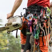 What's it like being the only female arborist in a team of men? Georgee Husher spares no details.