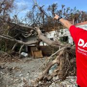 In July this year I was deployed with DART (Disaster Arborist Response Team) to the Grenadines, specifically to the island of Carriacou