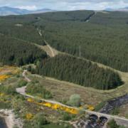 The forest and quarry have been put up for sale