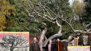 Artist Dan Llywelyn Hall with relatives of those connected to the Bramley tree