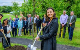 Máiri McAllan has been widely praised for her commitment to forestry