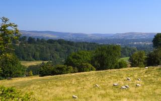 The responses mark the next stage of policy development in Wales.