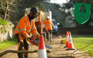 Assessors will expect to visit an ongoing worksite involving a medium/large-sized tree, to see how the arb team conducts itself.