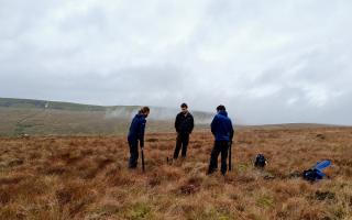 Peatland restoration