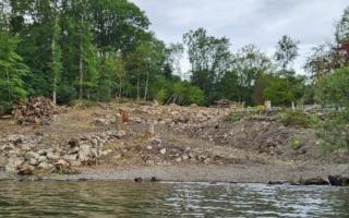 Image showing the felling of trees on the shoreline of Windermere