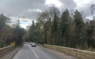 Trees felled were on land off Newbattle Road, in a conservation area