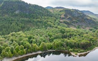 Rainforests also known as Atlantic woodland or Celtic rainforests are as important as the tropical forest (National Trust/PA)