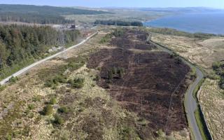 The blaze was halted just yards from the overhead powerline