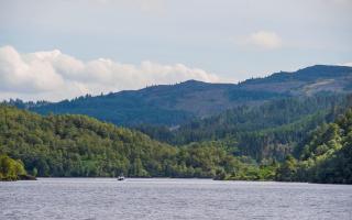 Plans approved to create one of Europe’s largest woodlands at Scottish Loch