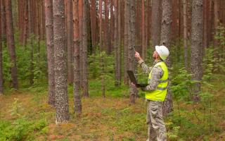 Lantra provides a range of qualifications in forestry