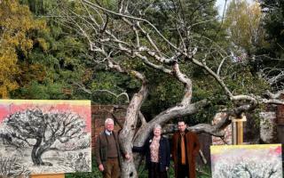 Artist Dan Llywelyn Hall with relatives of those connected to the Bramley tree