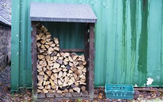 Firewood is a vital industry in Scotland