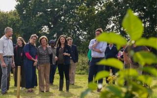 Minister Creagh visiting a planting site at Chester Zoo.