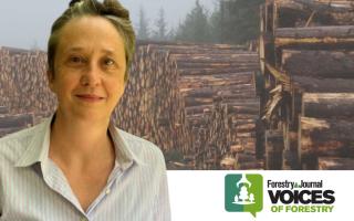 Dr Anna Brown has penned a special Voices of Forestry column to mark National Tree Week