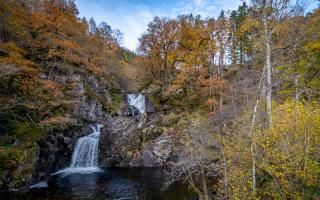 The group will focus on habitat restoration, maintaining or increasing biodiversity, upping climate change resilience and unlocking economic potential from timber and venison in the area