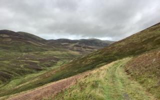 All forestry work at Stobo Hope was stopped in the wake of what Scottish Forestry called 