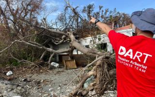 In July this year I was deployed with DART (Disaster Arborist Response Team) to the Grenadines, specifically to the island of Carriacou